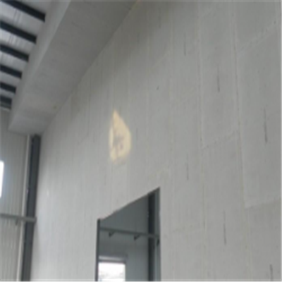 雷山宁波ALC板|EPS加气板隔墙与混凝土整浇联接的实验研讨